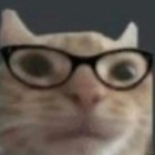 QQ头像