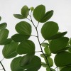 西藏网友65344