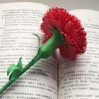 QQ头像