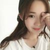 吉林网友13051