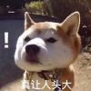 北京网友15004