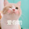 评论头像