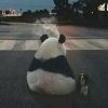 澳门网友12582