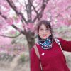 西藏网友16468