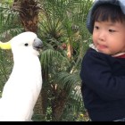 QQ头像