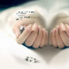 广东网友57388