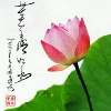 山西网友32931