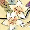 河南网友95319