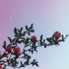 江苏网友14214