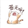 hhhhhasdfg的头像-无忧免费游戏网
