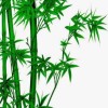 西藏网友23252