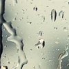 四川网友43833