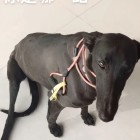 QQ头像