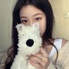 海南网友79747