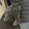广西网友12732