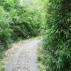 湖北网友53495
