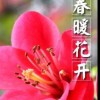 辽宁网友49976