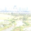 香港网友89230