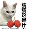 719675801HH的头像-无忧免费游戏网