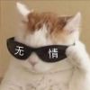 江苏网友32667