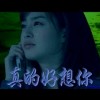 台湾网友12979