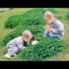 宁夏网友16847