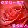 重庆网友77674