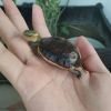 天津网友25524