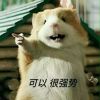 评论头像