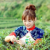 澳门网友98447
