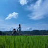 云南网友27156