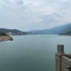 海南网友27228