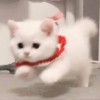 陕西网友99439