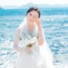 河南网友30130