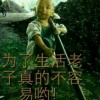 贵州网友79600