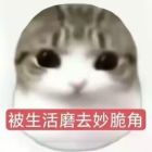 QQ头像
