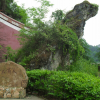 宁夏网友71086