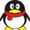 QQ747155头像