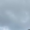 陕西网友57352