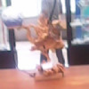 云南网友63259