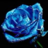 云南网友40172