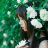 西藏网友25903