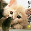 宁夏网友35238