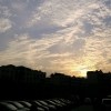 宁夏网友48481