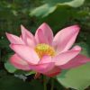 北京网友78849