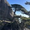 四川网友49506