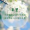 访客
