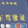 广西网友83145