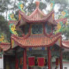 辽宁网友26009
