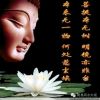 e包酷风